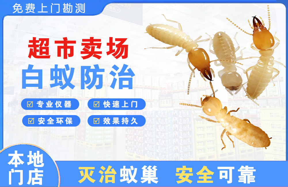 六盘水超市卖场白蚁防治