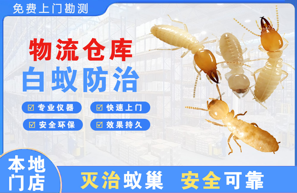 六盘水物流仓库白蚁防治