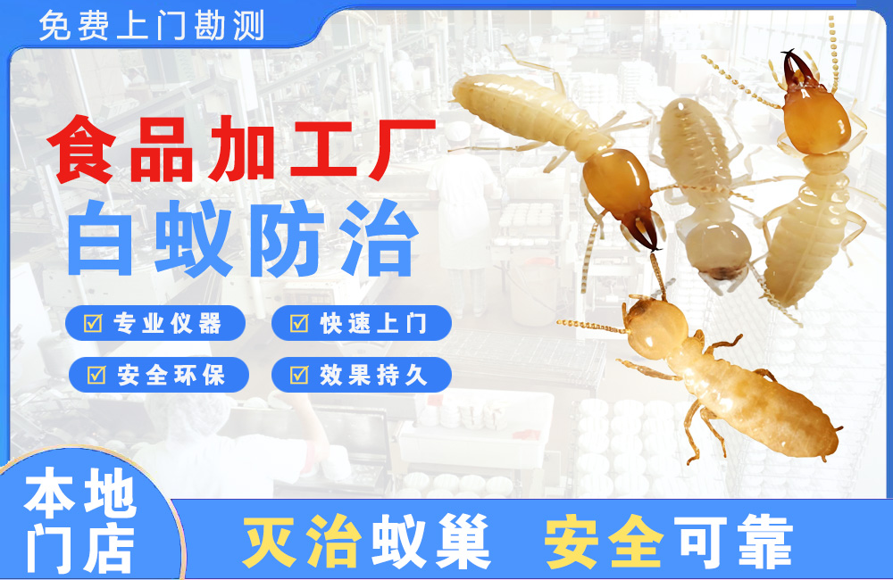 六盘水食品加工厂白蚁防治