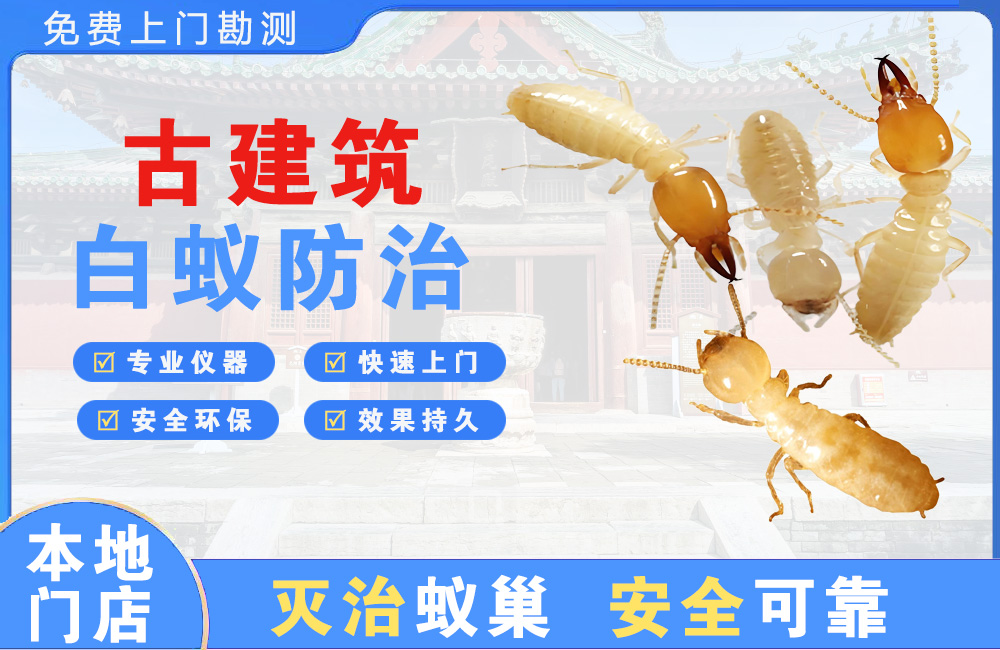 六盘水古建筑白蚁防治