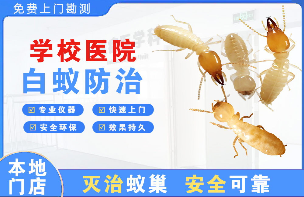 六盘水学校医院白蚁防治