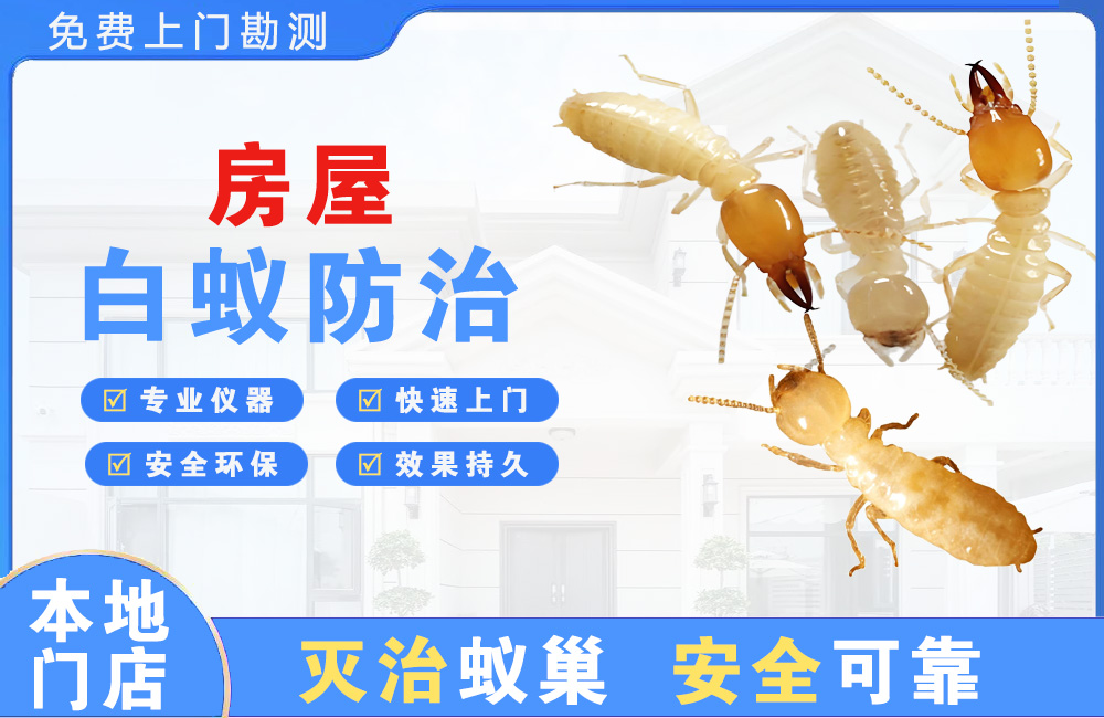 六盘水房屋白蚁防治