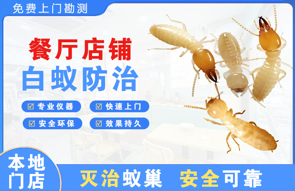 六盘水餐厅店铺白蚁防治